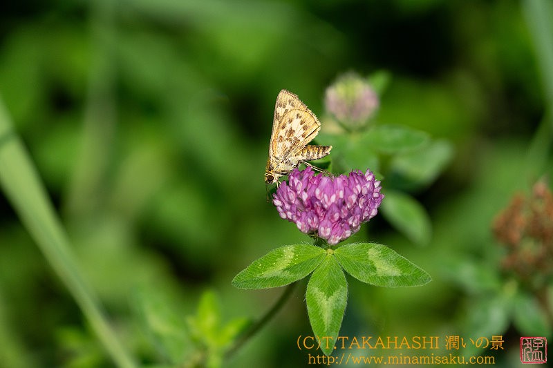 ../Images/7R240807 (23).jpg